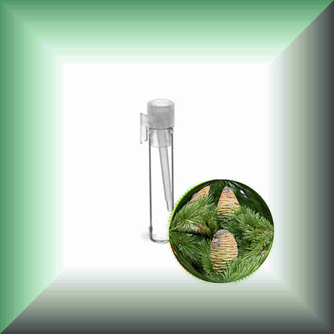 Himalayan Cedarwood Essential Oil (Cedrus deodara) – Aromatherapy, Skin Care & Perfumery in a glass vial, sample size.