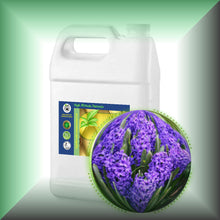 Hyacinth Absolute Essential Oil (Hyacinthus orientalis)