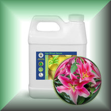 Lily Absolute Oil (Lilium Orientalis) 32oz bulk wholesale