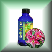 Lily Absolute Oil (Lilium Orientalis) 4oz