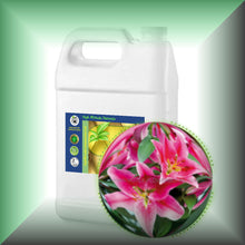 Lily Absolute Oil (Lilium Orientalis) gallon bulk wholesale