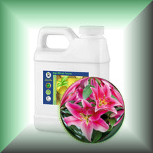 Lily Absolute Oil (Lilium Orientalis) 32 oz bulk