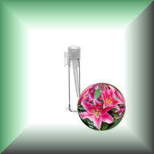 Lily Absolute Oil (Lilium Orientalis) sample