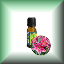 Lily Absolute Oil (Lilium Orientalis) 10ml