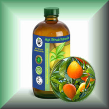 Mandarin essential oil 16oz glass bottle bulk size