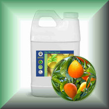 Mandarin essential oil 64oz jug bulk size
