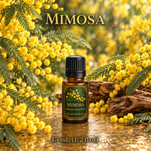 Mimosa Perfume & Cologne Concentrate – Powdery Floral, Green & Balsamic | Oil-Soluble - 15ml glass bottle with euro dropper. 