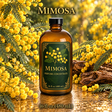Mimosa Perfume & Cologne Concentrate – Powdery Floral, Green & Balsamic | Oil-Soluble -16oz glass bottle with cap.