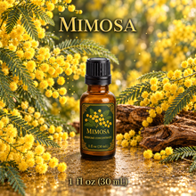 Mimosa Perfume & Cologne Concentrate – Powdery Floral, Green & Balsamic | Oil-Soluble - 1oz glass bottle  with euro dropper.