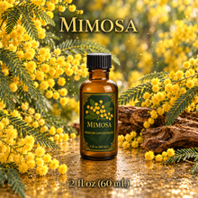 Mimosa Perfume & Cologne Concentrate – Powdery Floral, Green & Balsamic | Oil-Soluble - 2oz glass bottle with cap.