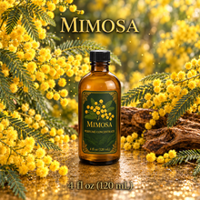 Mimosa Perfume & Cologne Concentrate – Powdery Floral, Green & Balsamic | Oil-Soluble - 4oz glass bottle with cap.