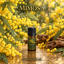 Mimosa Perfume & Cologne Concentrate – Powdery Floral, Green & Balsamic | Oil-Soluble - 5ml glass bottlewith euro dropper