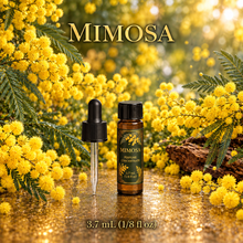 Mimosa Perfume & Cologne Concentrate – Powdery Floral, Green & Balsamic | Oil-Soluble - Dram glass vial with dropper.