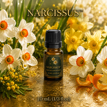 Narcissus™ Perfume & Cologne Concentrate – Green Daffodil, Neroli & Golden Citrus | Oil-Soluble - 10ml glass bottle with euro dropper cap.
