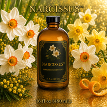 Narcissus™ Perfume & Cologne Concentrate – Green Daffodil, Neroli & Golden Citrus | Oil-Soluble- 16oz glass bottle with cap.