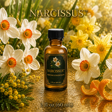 Narcissus™ Perfume & Cologne Concentrate – Green Daffodil, Neroli & Golden Citrus | Oil-Soluble - 2oz glass bottle with cap.