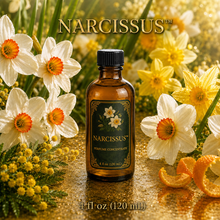 Narcissus™ Perfume & Cologne Concentrate – Green Daffodil, Neroli & Golden Citrus | Oil-Soluble - 4oz glass bottle with cap.