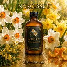 Narcissus™ Perfume & Cologne Concentrate – Green Daffodil, Neroli & Golden Citrus | Oil-Soluble - 8oz glass bottle with cap.