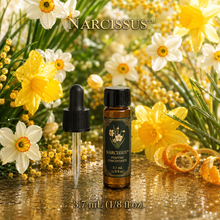 Narcissus™ Perfume & Cologne Concentrate – Green Daffodil, Neroli & Golden Citrus | Oil-Soluble - 3.4ml Dram.