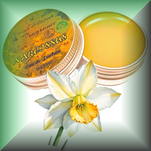 Narcissus Solid Perfume – Heady Daffodil Floral with Neroli & Citrus