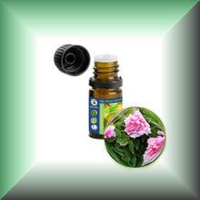 Peony Essential Oil (Paeonia suffruticosa) 5ml bottle