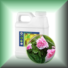 Peony Essential Oil (Paeonia suffruticosa) 16oz jug bulk