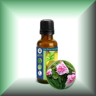 Primary product image: Peony Essential Oil (Paeonia suffruticosa) bottle for perfumery and aromatherapy
