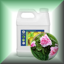 Peony Essential Oil (Paeonia suffruticosa) 32 oz jug bulk