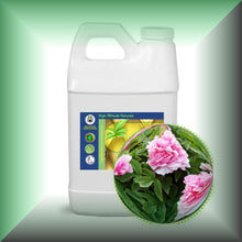 Peony Essential Oil (Paeonia suffruticosa) 64oz jug bulk