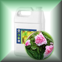 Peony Essential Oil (Paeonia suffruticosa) 1 gallon jug buy bulk wholesale