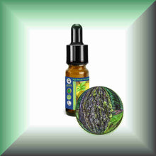 Tree Moss Absolute (Pseudevernia furfuracea) | Pine Tree Moss for Natural Perfumery 10ml glass bottle with dropper