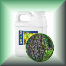 Tree Moss Absolute (Pseudevernia furfuracea) | Pine Tree Moss for Natural Perfumery 16oz jug with cap