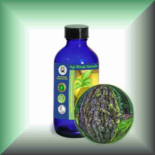 Tree Moss Absolute (Pseudevernia furfuracea) | Pine Tree Moss for Natural Perfumery 4oz glass bottle with  cap