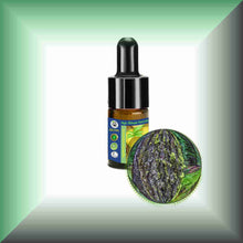 Tree Moss Absolute (Pseudevernia furfuracea) | Pine Tree Moss for Natural Perfumery - 5ml glass bottle with dropper