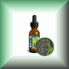 Tree Moss Absolute (Pseudevernia furfuracea) | Pine Tree Moss for Natural Perfumery  15ml glass bottle with dropper