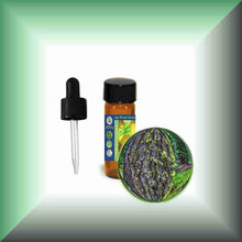 Tree Moss Absolute (Pseudevernia furfuracea) | Pine Tree Moss for Natural Perfumery Glass Dram vial with dropper 3.4ml