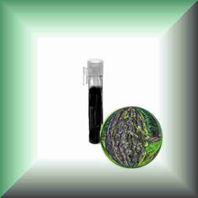 Tree Moss Absolute (Pseudevernia furfuracea) | Pine Tree Moss for Natural Perfumery sample glass vial 