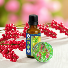 Pink Peppercorn (Pink Pepper, Schinus Molle) Essential Oil