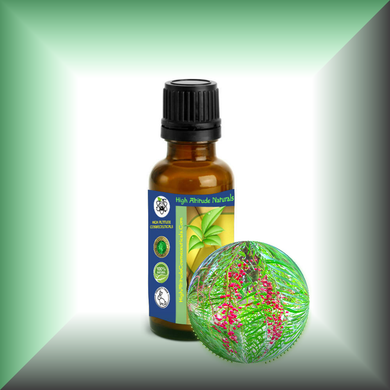 Pink Peppercorn (Pink Pepper, Schinus Molle) Essential Oil