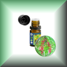Pink Peppercorn (Pink Pepper, Schinus Molle) Essential Oil