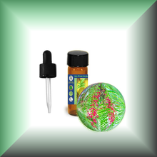 Pink Peppercorn (Pink Pepper, Schinus Molle) Essential Oil