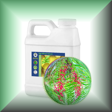 Pink Peppercorn (Pink Pepper, Schinus Molle) Essential Oil