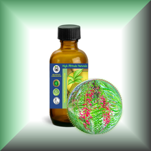 Pink Peppercorn (Pink Pepper, Schinus Molle) Essential Oil