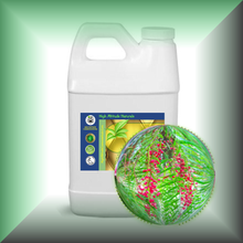 Pink Peppercorn (Pink Pepper, Schinus Molle) Essential Oil