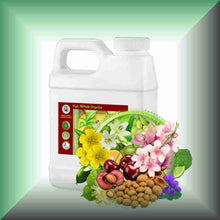 Pure Essence™ Lily, Cherry Blossom & Bergamot Massage Oil in a 16 fl oz jug.