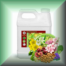 Pure Essence™ Lily, Cherry Blossom & Bergamot Massage Oil in a 32 fl oz jug.