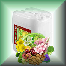 Pure Essence™ Lily, Cherry Blossom & Bergamot Massage Oil in a 5-gallon jerrycan, bulk, wholesale size.