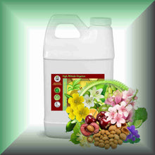 Pure Essence™ Lily, Cherry Blossom & Bergamot Massage Oil in a 64 fl oz jug.