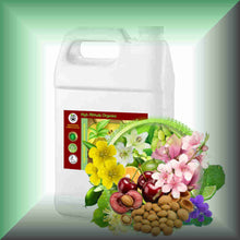 Pure Essence™ Lily, Cherry Blossom & Bergamot Massage Oil in a gallon jug, bulk, wholesale size.