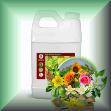 Sensational™ Floral-Spice Massage Oil | Couples & Aromatherapy in a 64 fl oz jug, bulk size.